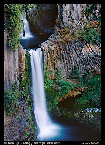 Basalt columns and Toketee Falls. Oregon, USA