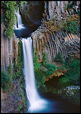 Basalt columns and Toketee Falls. Oregon, USA (color)
