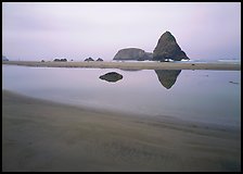 Triangular rock reflected in beach tidepool. Oregon, USA