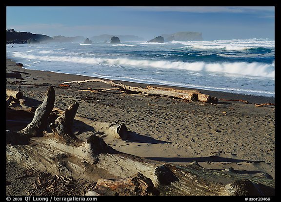 Logs on beach and surf near Bandon. Bandon, Oregon, USA