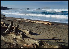 Logs on beach and surf near Bandon. Bandon, Oregon, USA