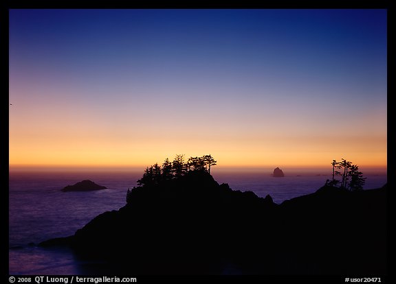 Headlands with trees at sunset. Oregon, USA (color)