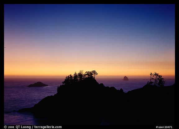 Headlands with trees at sunset. Oregon, USA