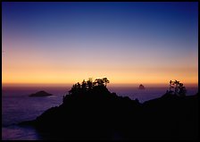 Headlands with trees at sunset. Oregon, USA