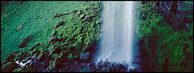 Waterfall and mossy cliffs. Oregon, USA (Panoramic color)