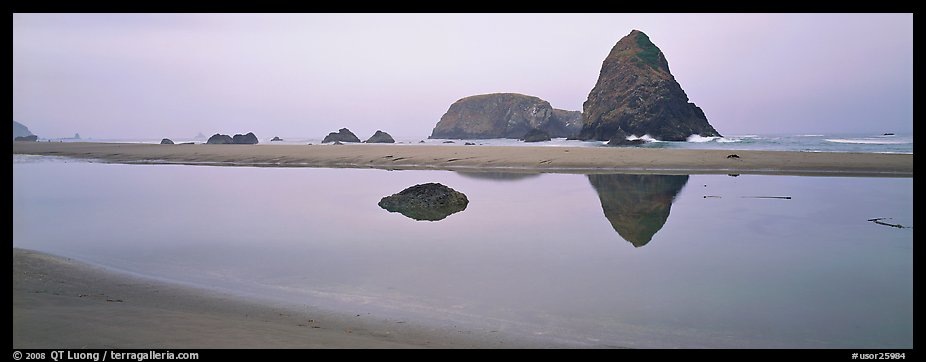 Sea stacks reflected in tidepool. Oregon, USA (color)