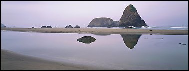 Sea stacks reflected in tidepool. Oregon, USA (Panoramic color)