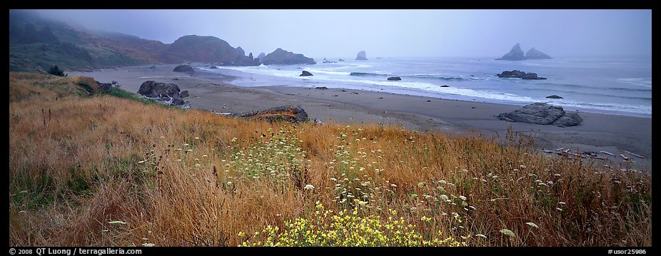 Foggy seascape. Oregon, USA (color)