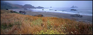 Foggy seascape. Oregon, USA (Panoramic color)