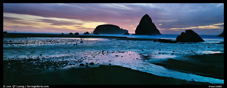 Beach and seastacks at sunset. Oregon, USA (color)