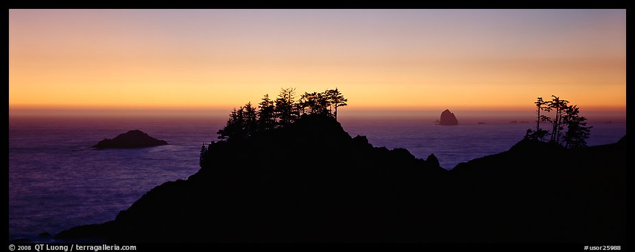 Sunset seascape beyond ridge of trees. Oregon, USA (color)