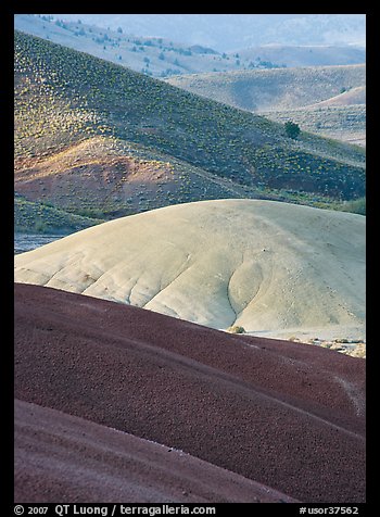 Weathered ash hummocks and sagebrush-covered slopes. John Day Fossils Bed National Monument, Oregon, USA