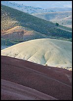 Weathered ash hummocks and sagebrush-covered slopes. John Day Fossils Bed National Monument, Oregon, USA (color)