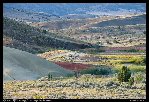 Sagebrush and ash hills. John Day Fossils Bed National Monument, Oregon, USA