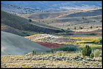 Sagebrush and ash hills. John Day Fossils Bed National Monument, Oregon, USA