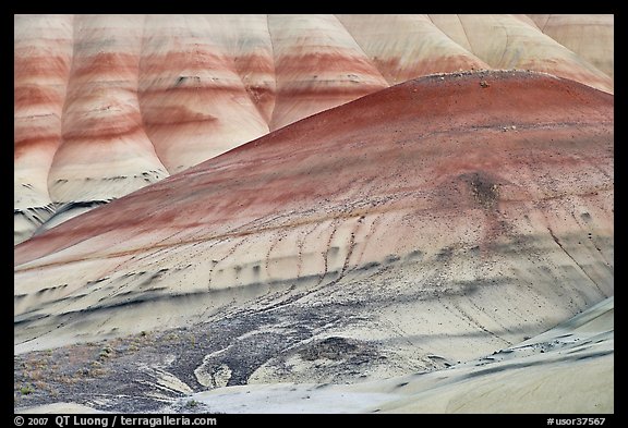 Colorful hummocks and hills. John Day Fossils Bed National Monument, Oregon, USA