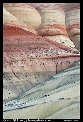 Eroded volcanic ash hummocks. John Day Fossils Bed National Monument, Oregon, USA