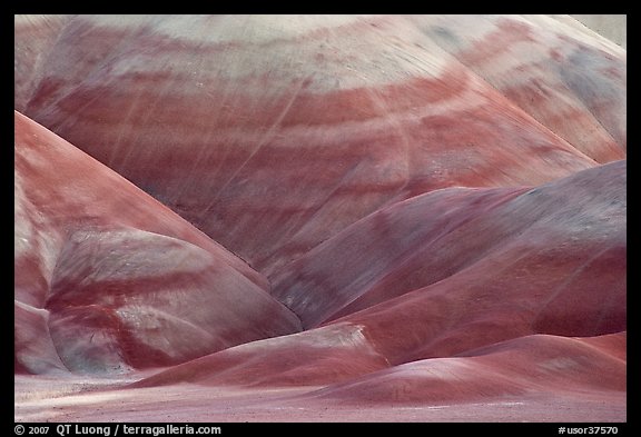 Colorful claystone hills. John Day Fossils Bed National Monument, Oregon, USA