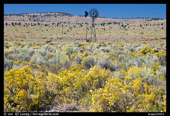 Windmill and  sagebrush. Oregon, USA