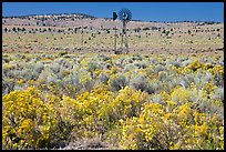 Windmill and  sagebrush. Oregon, USA