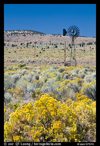 Sagebrush slopes and windmill. Oregon, USA (color)