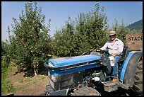 Man on tractor in orchard. Oregon, USA
