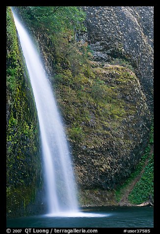 Horsetail Falls. Columbia River Gorge, Oregon, USA (color)