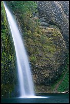 Horsetail Falls. Columbia River Gorge, Oregon, USA (color)