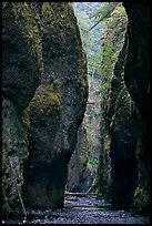 Pictures of Columbia River Gorge