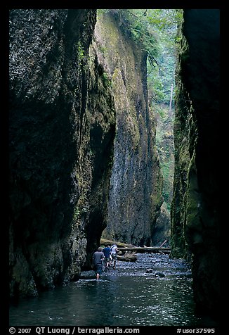 Hikers wading, Oneonta Gorge. Columbia River Gorge, Oregon, USA (color)