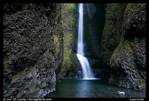 Oneonta Falls. Columbia River Gorge, Oregon, USA