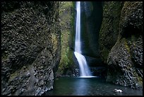 Oneonta Falls. Columbia River Gorge, Oregon, USA