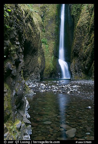 Oneonta Falls at the end of Oneonta Gorge. Columbia River Gorge, Oregon, USA