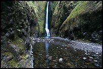 Oneonta Gorge and falls. Columbia River Gorge, Oregon, USA (color)