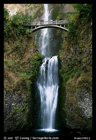 Lower Multnomah Falls and Benson Bridge. Columbia River Gorge, Oregon, USA (color)