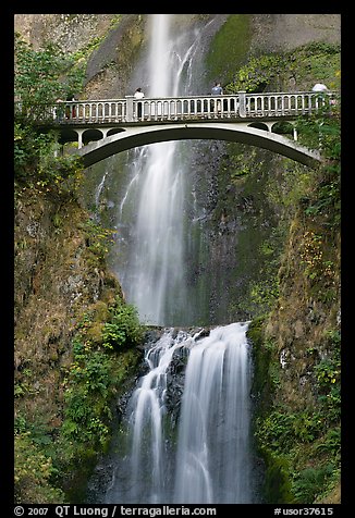 Benson Bridge and Multnomah Falls. Columbia River Gorge, Oregon, USA