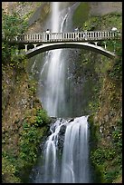 Benson Bridge and Multnomah Falls. Columbia River Gorge, Oregon, USA (color)