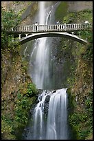 Benson Bridge and Multnomah Falls. Columbia River Gorge, Oregon, USA