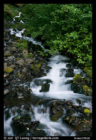 Wahkeena Falls. Columbia River Gorge, Oregon, USA