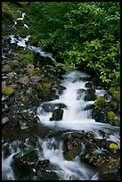 Wahkeena Falls. Columbia River Gorge, Oregon, USA