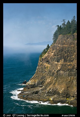 Seacliff near Cap Meares. Oregon, USA (color)