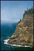 Seacliff near Cap Meares. Oregon, USA (color)