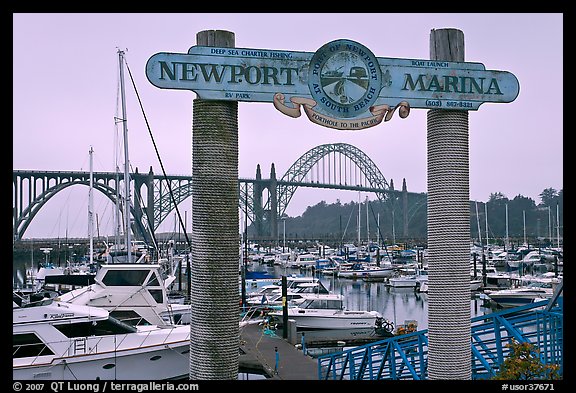 Newport marina and sign, foggy sunrise. Newport, Oregon, USA (color)