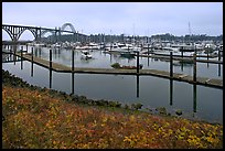 Newport harbor. Newport, Oregon, USA