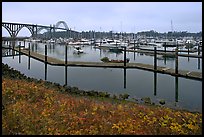 Newport harbor. Newport, Oregon, USA (color)