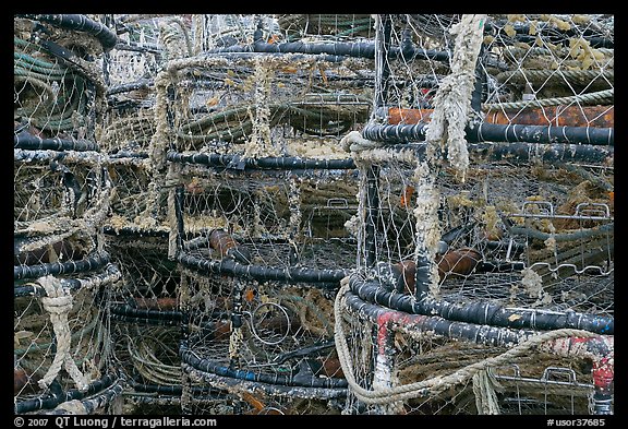 Traps for crabbing. Newport, Oregon, USA (color)