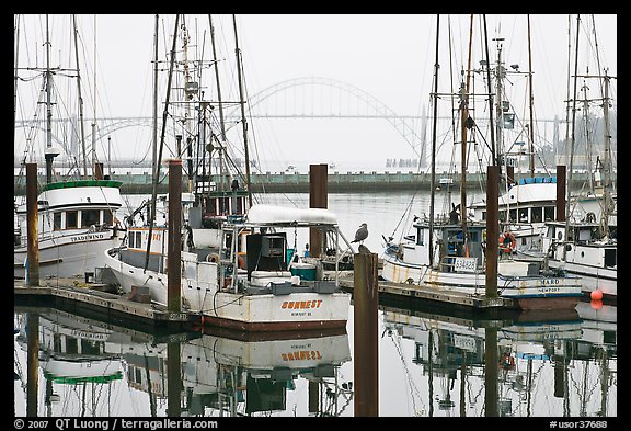 Commercial fishing boats and Yaquina Bay in fog. Newport, Oregon, USA (color)