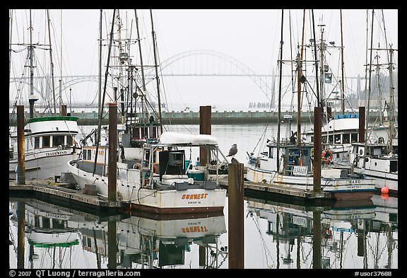 Commercial fishing boats and Yaquina Bay in fog. Newport, Oregon, USA