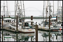 Commercial fishing boats and Yaquina Bay in fog. Newport, Oregon, USA (color)