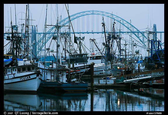 Commercial fishing boats and Yaquina Bay Bridge at dawn. Newport, Oregon, USA